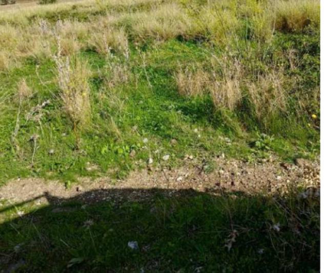Immobile in asta di 155290 m² in vendita a Salemi - Foto 9