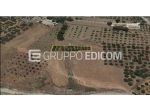 Terreno in vendita a Valderice - Rif. 4551069