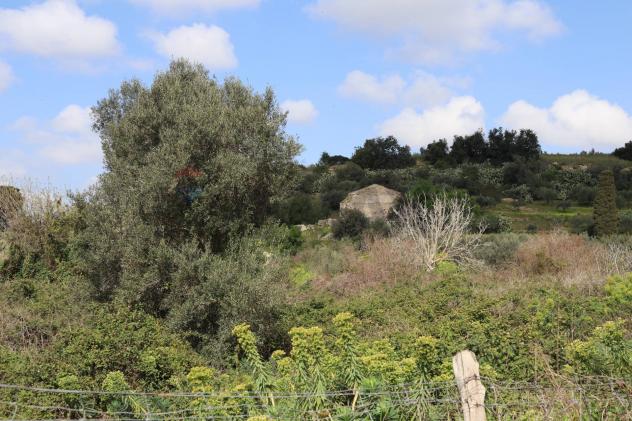Terreno in vendita a Vittoria - Foto 7