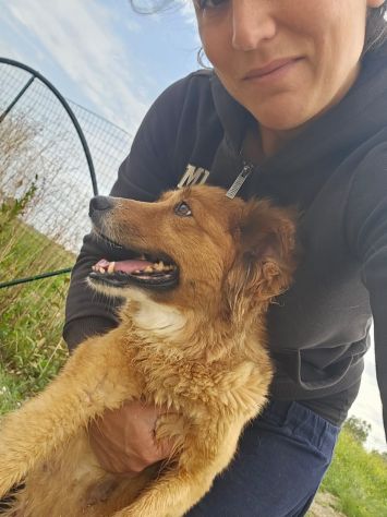 Stefi: 2 anni taglia contenuta - Foto 3