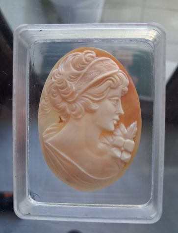 Grande Cammeo Volto di Dama , firmato sul retro posto in custodia e supporto il - Foto 5