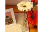 B&B Mamma Roma