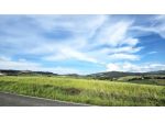 Terreno agricolo in vendita a Bibbona 20000 mq  Rif: 1409450