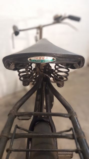 Bicicletta Golden Lion - Foto 4