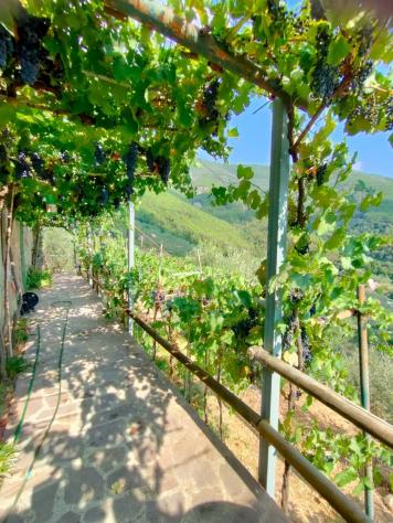 Casale in vendita a Castelmaggiore - Calci 160 mq Rif: 1281754 - Foto 8