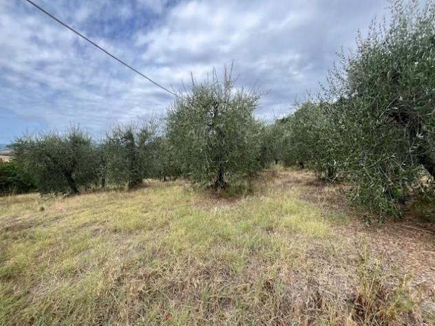 Porzione di casa in vendita a Terricciola 120 mq Rif: 1453032 - Foto 5