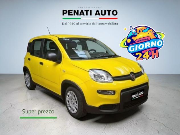 FIAT Pandina Pandina 1.0 firefly hybrid Icon s&s 65cv