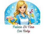 Donna Delle Pulizie e/o Stiro