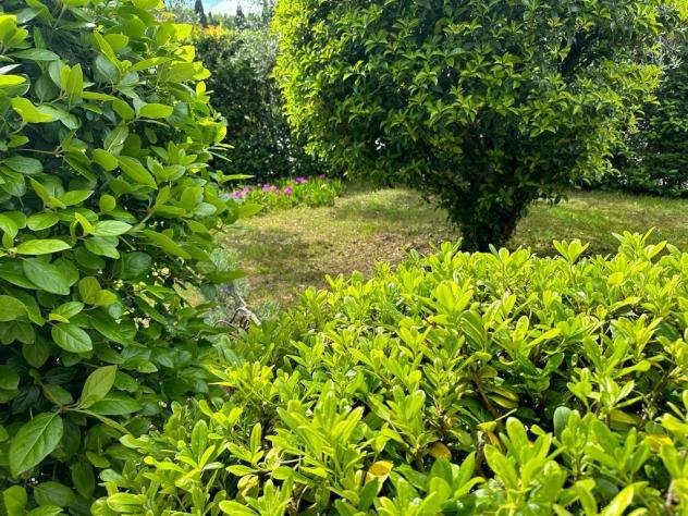 Villa in vendita a Bassa - Cerreto Guidi 350 mq Rif: 1413980