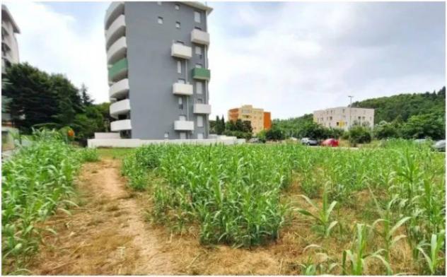 Immobile in asta di 1236 m² in vendita a Pesaro - Foto 5