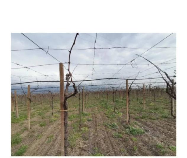 Immobile in asta di 78 m², box auto in vendita a San Severo - Foto 7