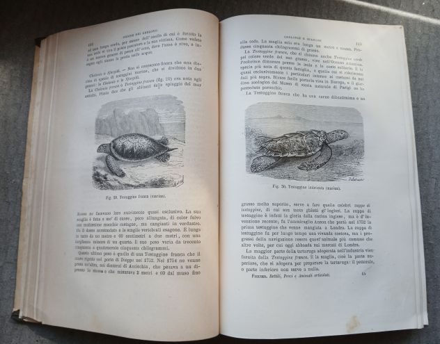 RETTILI, PESCI E ANIMALI ARTICOLATI, Ed. F.lli Treves 1891. - Foto 7