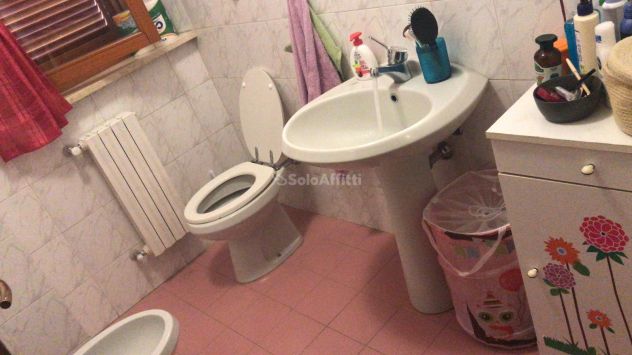 Libera camera +bagno via sicilia siena studentessa/te ita 3343432064 320+ spese - Foto 2