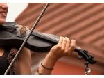 Violinista Saronno