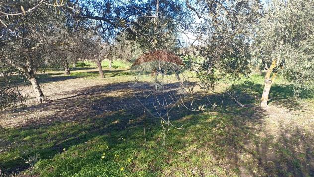 Rustico in vendita a Chiaramonte Gulfi - Foto 11