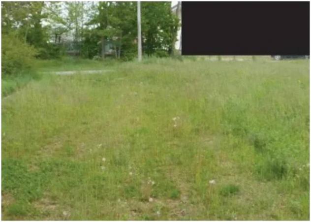 Immobile in asta di 29838 m² in vendita a Paese - Foto 10
