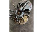 varie collezioni warhammer 40k