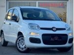 FIAT Panda 1.0 FIREFLY S&S HYBRID PANDINA - IVA ESPOSTA rif. 24203448