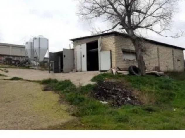 Immobile in asta di 258 m² in vendita a Melfi - Foto 4