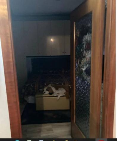 Immobile in asta di 111 m² in vendita a Tempio Pausania - Foto 6