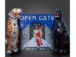 RAGAZZA IMMAGINE