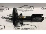Coppia Ammortizzatori Anteriori Renault Megane III 543020008R