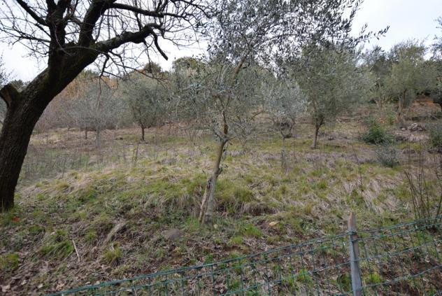 TERRENO AGRICOLO di 4807 mq (MONTEBELLUNA) rif. ZT38G_49 - Foto 12