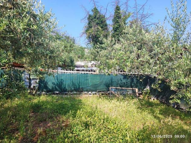 Occasione unica per amanti della natura e della campagna! - Foto 6