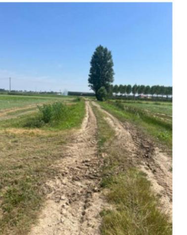 Immobile in asta di 21 m² in vendita a Villimpenta - Foto 5