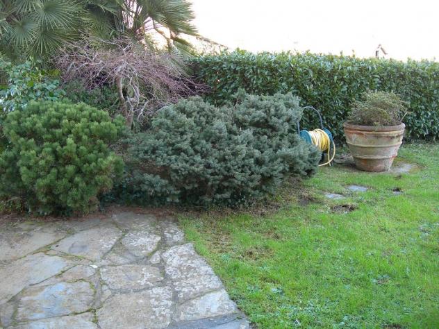 APPARTAMENTO INDIPENDENTE di 7 vani e di 160 mq (CAMAIORE) rif. 1024 - Foto 2