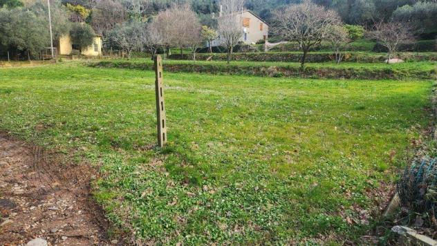 Terreno agricolo in vendita a San Giovanni Alla Vena - Vicopisano 2500 mq Rif: 1393231 - Foto 3