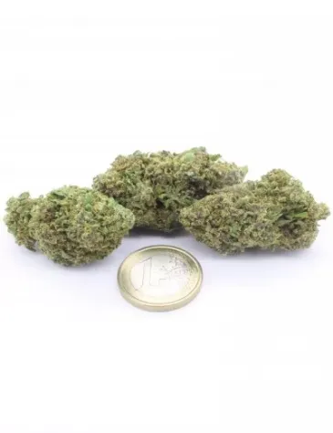 Lime Cookie - Foto 3
