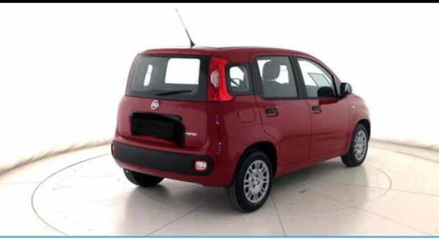 FIAT Panda 1.0 FireFly S&S Hybrid rif. 23984114 - Foto 6