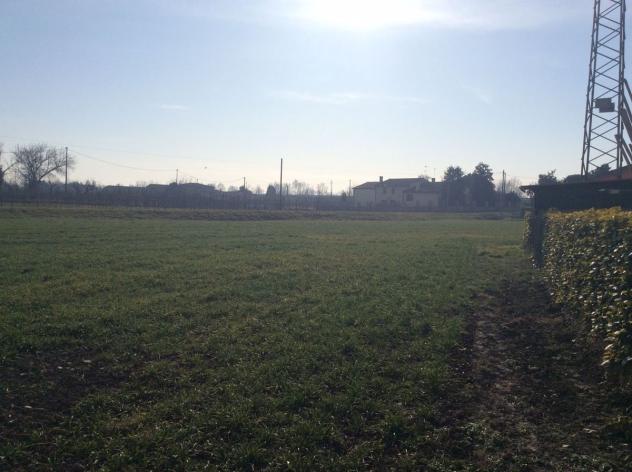 Terreno Residenziale - Cavarzere . Rif.: C0129VRG - Foto 5