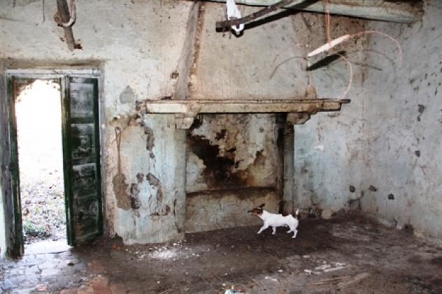 Grotte di castro - Vendesi casale in pietra da ristrutturare e 23 ha di terreno - Foto 7