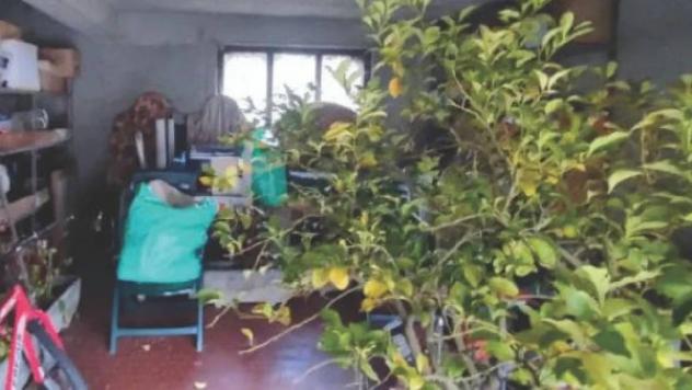 Immobile in asta di 692 m² con più di 5 locali in vendita a Villafranca in Lunigiana - Foto 18
