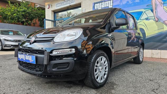 Fiat Panda 1.0 FireFly S&S Hybrid Pandina ICON KM0 REALE - Foto 2
