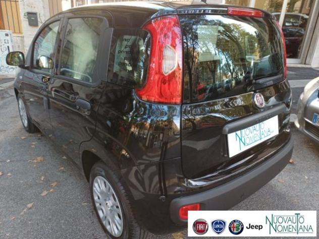 FIAT Panda Pandina 1.0 FireFly S&S Hybrid Pop Km0 rif. 24220905 - Foto 10
