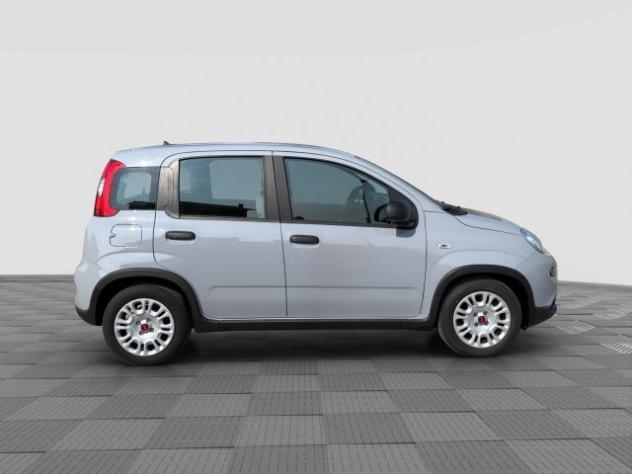 FIAT Panda Panda 1.0 FireFly Hybrid City Life rif. 23625317 - Foto 6