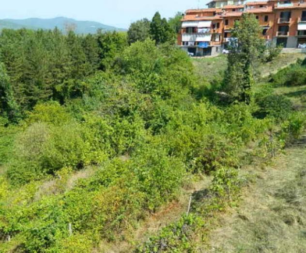Immobile in asta di 15 m² con più di 5 locali in vendita a Piegaro - Foto 2