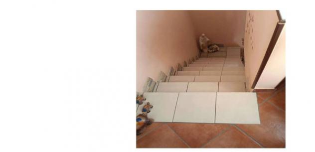 Immobile in asta di 147 m² con più di 5 locali in vendita a San Fili - Foto 16