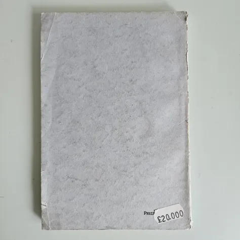 I Campi Flegrei - Amedeo Maiuri - Libreria dello Stato - 1949 - TRACCIATA! - Foto 4