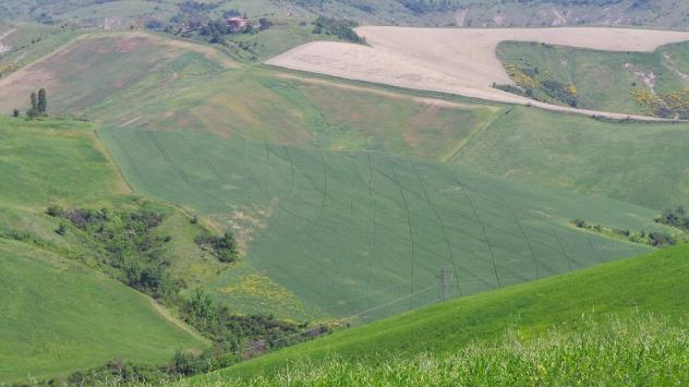 Agricolo in Località San Pietro - Foto 3