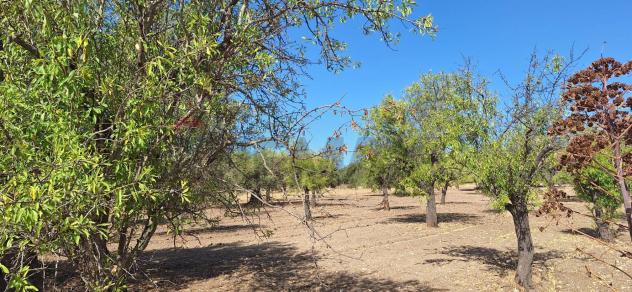Terreno in vendita a Noto - Foto 2