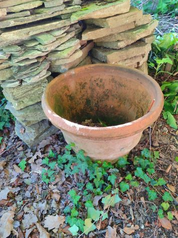 Vasi in terracotta, grandi - Foto 4
