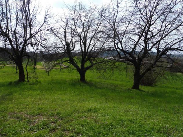 Terreno Agricolo - Fara Vicentino . Rif.: Cod. rif 3314789VCG - Foto 3