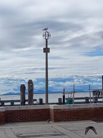 Bilocale in vendita a Venezia - Foto 8