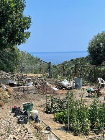 Alassio, terreno con progetto approvato per villa.