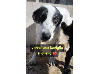 GIANNA E’ RIMASTA SOLA