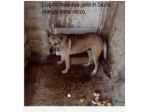 Luigino 13 anni di pena scontata! Si merita una vita libera! Salerno
